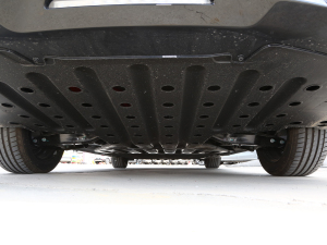 2024(chung) 410 (bio)(zhn) 