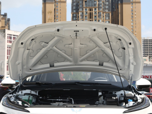 2024(chung) 410 (bio)(zhn) 