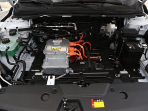 2024(chung) 410 (bio)(zhn) 