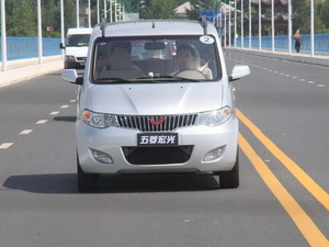 20101.2L (bio)(zhn) w^