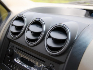 20101.2L (bio)(zhn) п؅^(q)