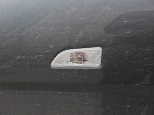 20101.2L (bio)(zhn) (x)(ji)^