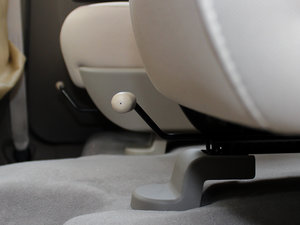 20101.2L (bio)(zhn) g