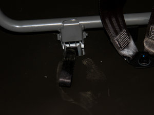 20151.5L քӘ(bio)(zhn) g