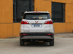 2018款1.5T 手动豪华型 国V 正后	