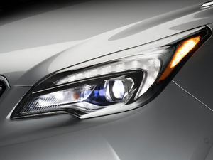 2019������� �������^