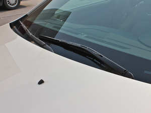 20123.0L VdayӢo(j) ˢ