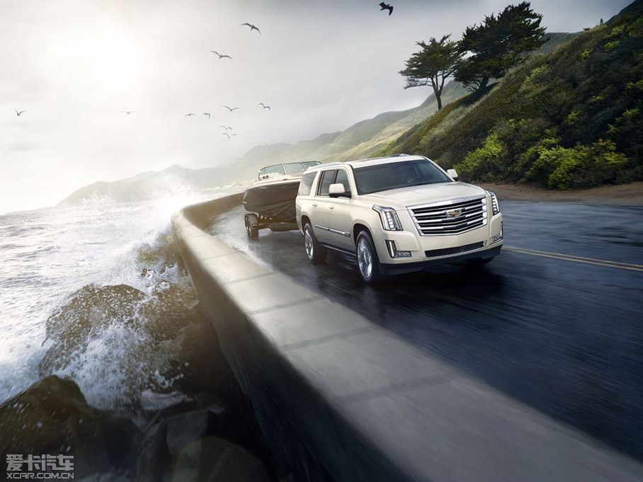 2014P׵ESCALADE Platinum Collection