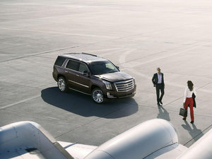 2014Platinum Collection w^