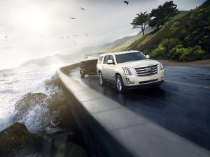 2014Platinum Collection w^