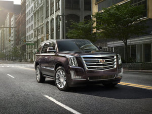 2014Platinum Collection w^