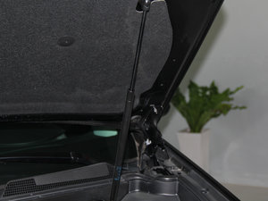 2015款3.0L 精英型 其它