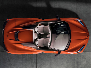 2020��C8 Convertible ���w���^