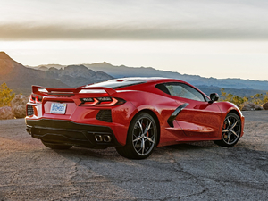 2020��C8 Stingray ���w���^
