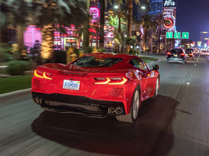 2020��C8 Stingray ���w���^