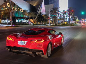 2020��C8 Stingray ���w���^