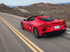 2020��C8 Stingray ���w���^