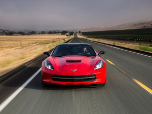 2014��C7 Stingray ���w���^