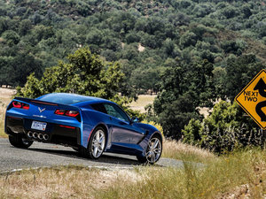 2014��C7 Stingray ���w���^