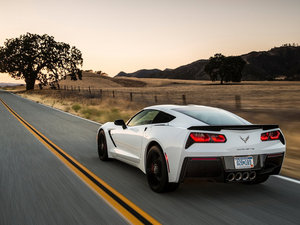 2014��C7 Stingray ���w���^