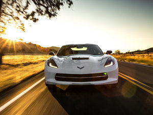 2014��C7 Stingray ���w���^