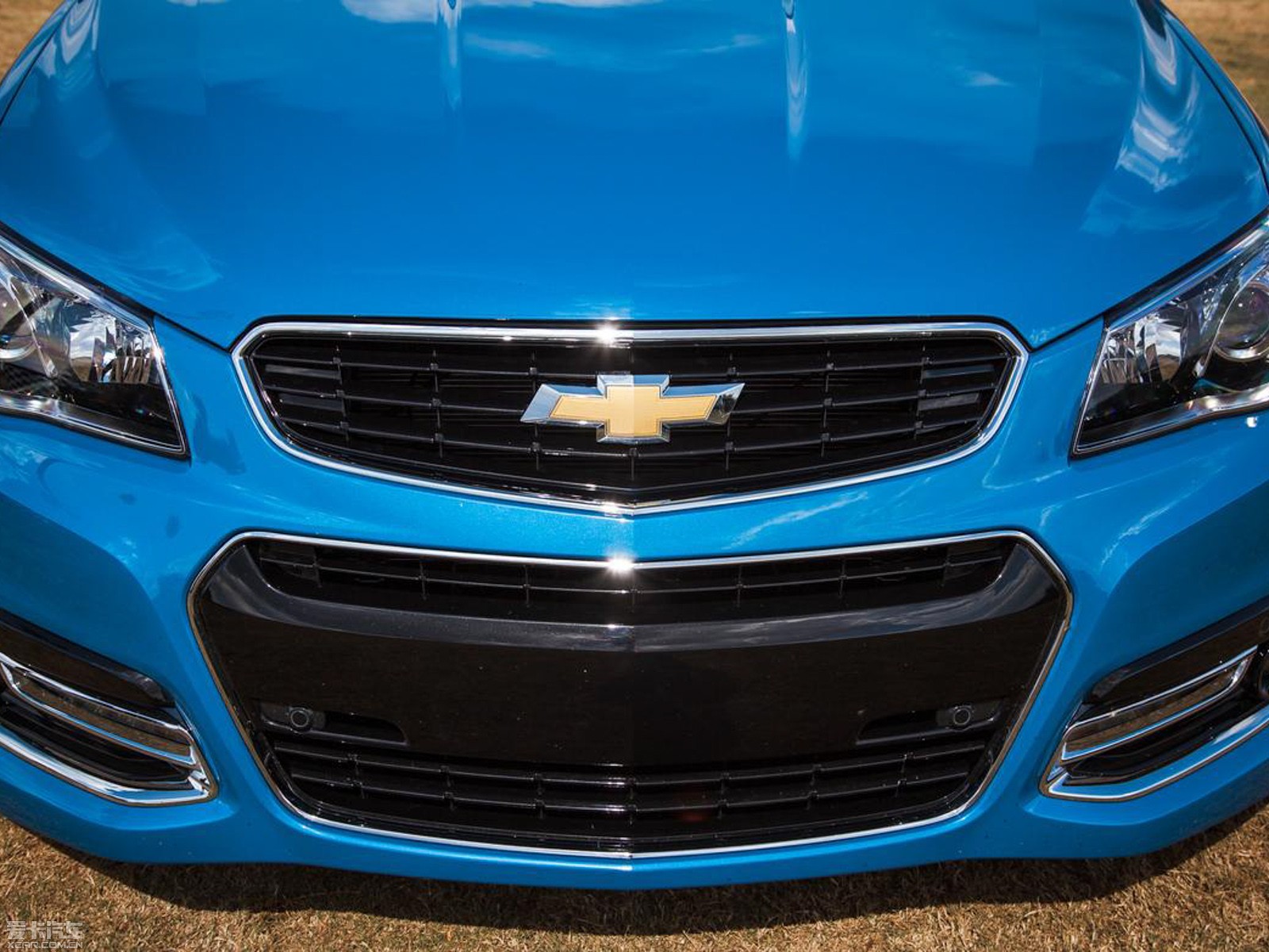 2014��ѩ���mSS ������