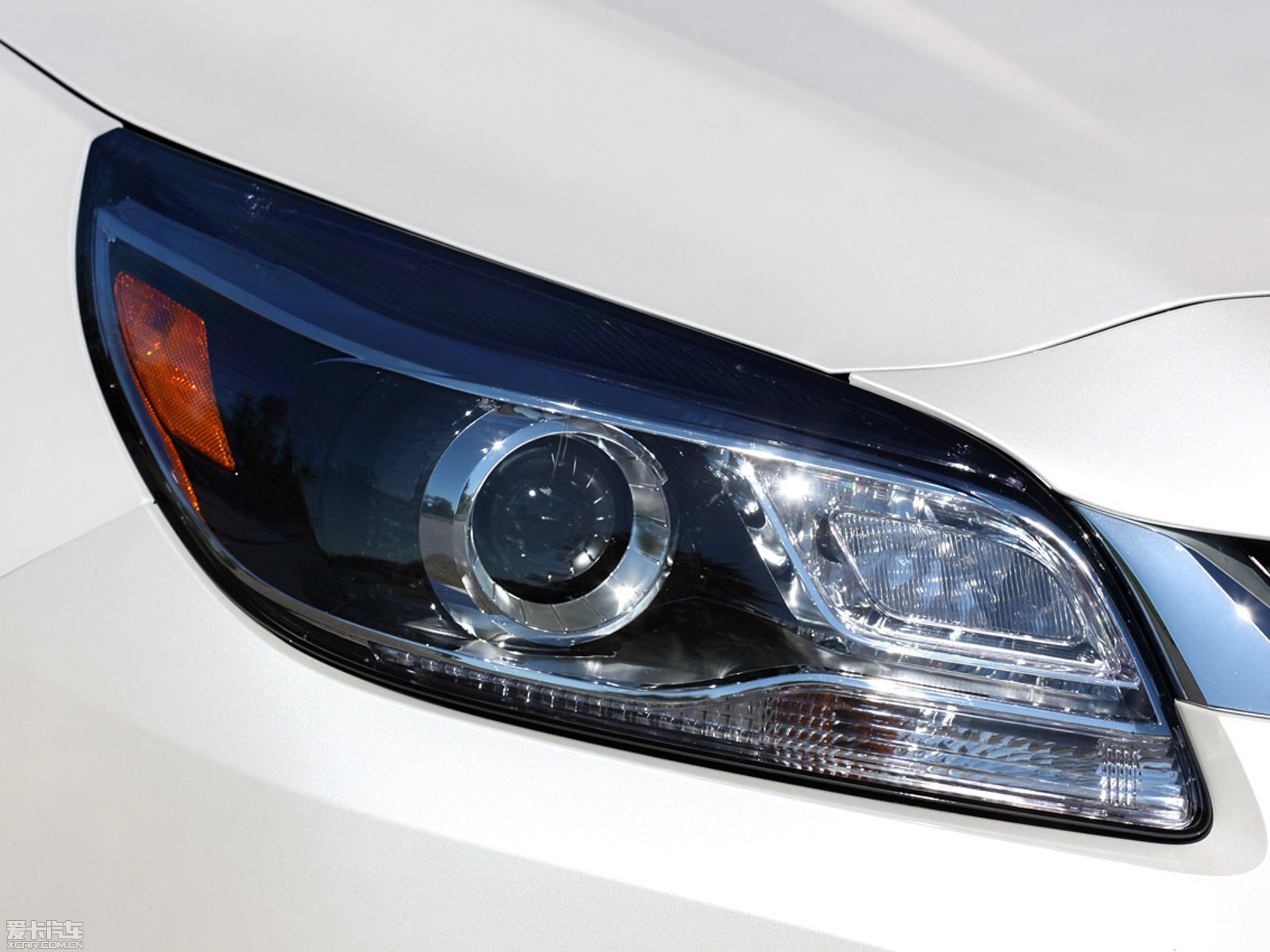 2014���~�J��(����) ������