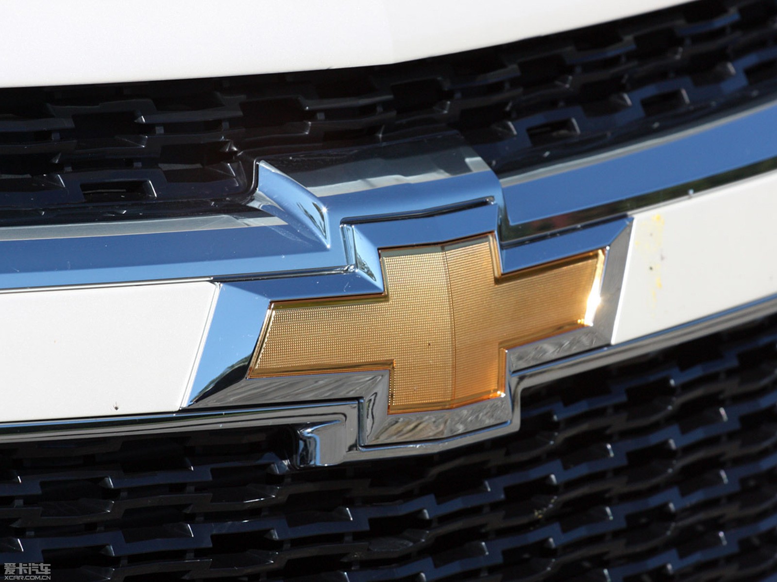 2014���~�J��(����) ������