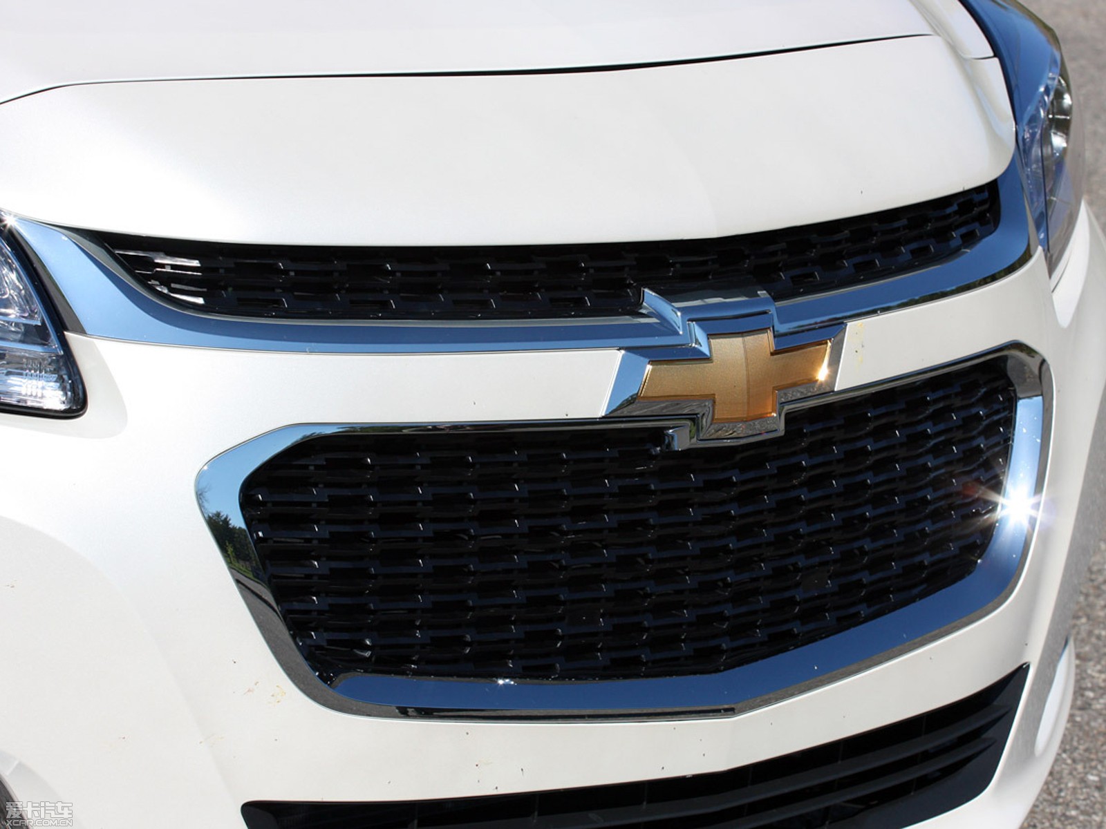 2014���~�J��(����) ������