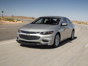 2015������� ���w���^