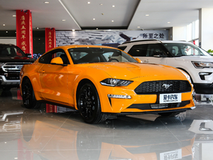 20192.3T EcoBoost w^