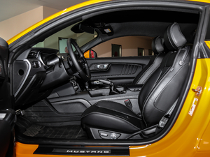 20192.3T EcoBoost ǰſg