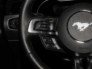 20192.3T EcoBoost п؅^