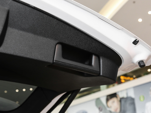 20182.3T EcoBoostӢ g