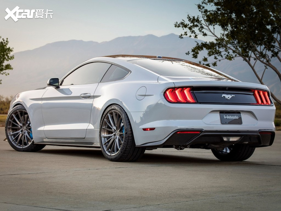 2020Mustang Lithium