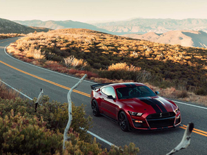 2020Shelby GT500 w^
