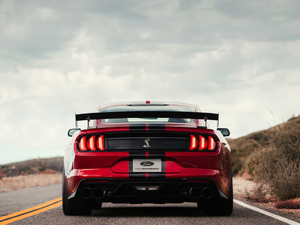 2020Shelby GT500 w^