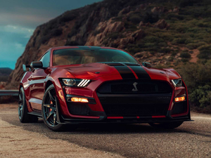 2020Shelby GT500 w^
