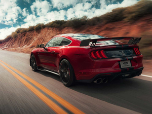 2020Shelby GT500 w^