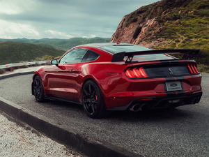 2020Shelby GT500 w^