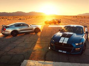 2020Shelby GT500 w^