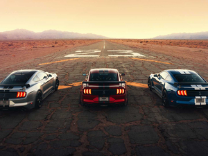 2020Shelby GT500 w^