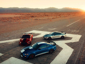 2020Shelby GT500 w^