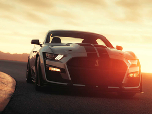 2020Shelby GT500 w^