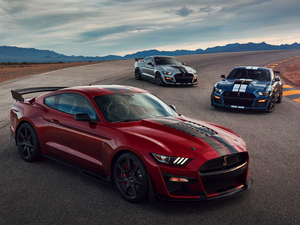 2020Shelby GT500 w^
