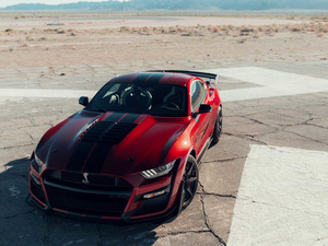 2020Shelby GT500 w^