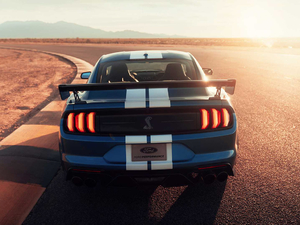 2020Shelby GT500 w^
