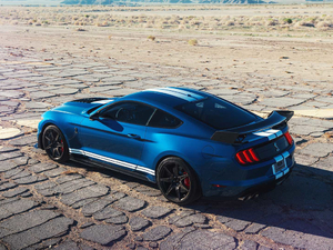 2020Shelby GT500 w^