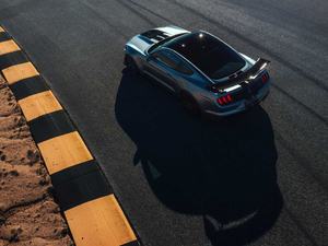 2020Shelby GT500 w^