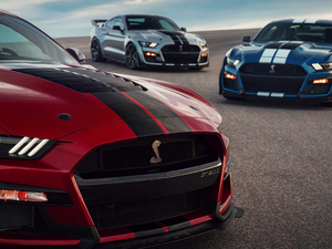 2020Shelby GT500 (ji)^